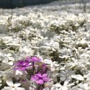 일화농장 이미지