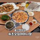 개금성원상떼뷰오피스텔 | 발산역횟집 속초오징어어시장에서 광어 새우구이 야장