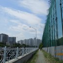 황새울1길 Daum카페