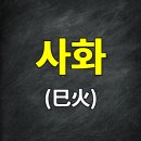 사화(巳火) 십이지지 사주 특징