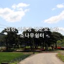 소나무 쉼터 네이버블로그