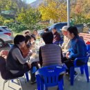 김영희농장 이미지