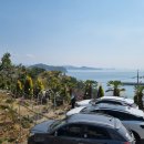 바닷가작은숲 이미지