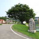 정수산