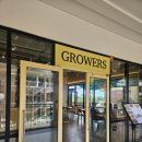 신세계 파주 프리미엄아울렛 20주년 쇼핑페스타♥ 파스타 맛집 그로어스 Growers 후기