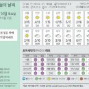 14 중앙일보
