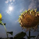 중열농장 이미지