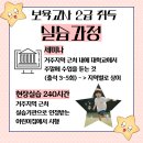 보육교사 2급 자격증 취득방법 고졸이 취업하려면 이미지