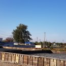 파평주유소 이미지