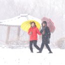 Snow County 이미지