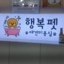 행복펫애견미용실