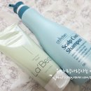 쿨헤어샵 | 스칼프 쿨케어 샴푸+라베스트 아쿠아 링거팩으로 손상모발 케어해요