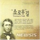 소로 이미지