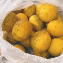 바니네민박집 이미지