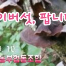 착한농부협동조합 이미지