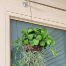 그린꽃식물원 이미지