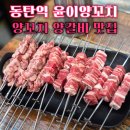 윤이양꼬치 | 동탄역 맛집 동탄역 양꼬치 맛집 윤이양꼬치 오이무침 서비스로 주는 곳