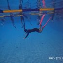 (주)에치아이에스코리아 | [공지] [프다] 몰디브 가서 인생샷 남기려고 커플 프리다이빙 배우고 있어요!(+코리아 프리다이버스)