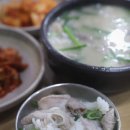 아이사랑다연약국 | 통영국밥 현지인맛집 20년전통 신다연국밥본점