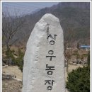 상우농장 이미지