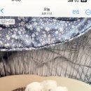 미니퍼피 이미지