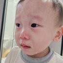 양당하우스 이미지