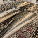 장어의 꿈 이미지