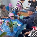 마음에 꽃을 피우는 행복한 생활원예 | 구리재가노인지원서비스센터, 인지자극지원사업 <마음을 피우는 시간::원예치료프로그램> 진행