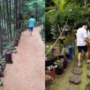 진화농장2 이미지