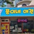 품이네 애견방 이미지