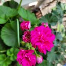 (주)유나스 네이버블로그