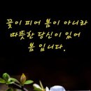 연신유도체육관 이미지