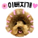 엣지있개 이미지