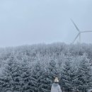 바우목장 이미지