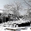 하얀도화지 이미지