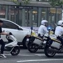 무궁화 꽃이 피었습 이미지