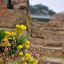 연꽃세상경로식당 이미지