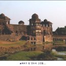 만두마을 이미지