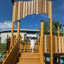 한화생명 | 대전 한화생명볼파크 아이와 직관 후기 꿀팁