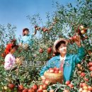 광리농장 이미지