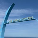 자이언트휴게소식당 | 동해 묵호 당일치기 🌊 | 온다(문어해물철판), 도째비골 해랑전망대, 스카이밸리, 미유키말차, 비비소