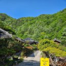 고급진 한옥미 끝판왕! 하동 지리산들꽃산방한옥계곡펜션