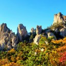 단풍
