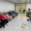 소나무요양원