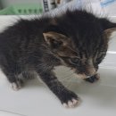 장안로309번길 이미지