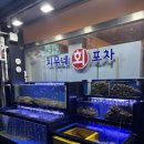 최강포차 - 광주시 | 최강포차