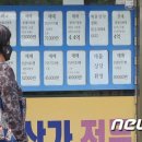 감자부동산중개사무소 이미지