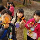 배곧새솔어린이집 이미지