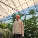 진진 - 서구 | 진진