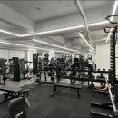 더 피트니스랩 이미지